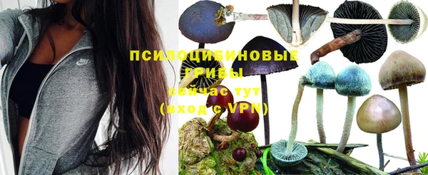 СК Абинск