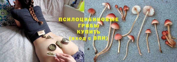 прущая мука Алзамай