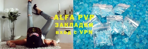 СК Абинск